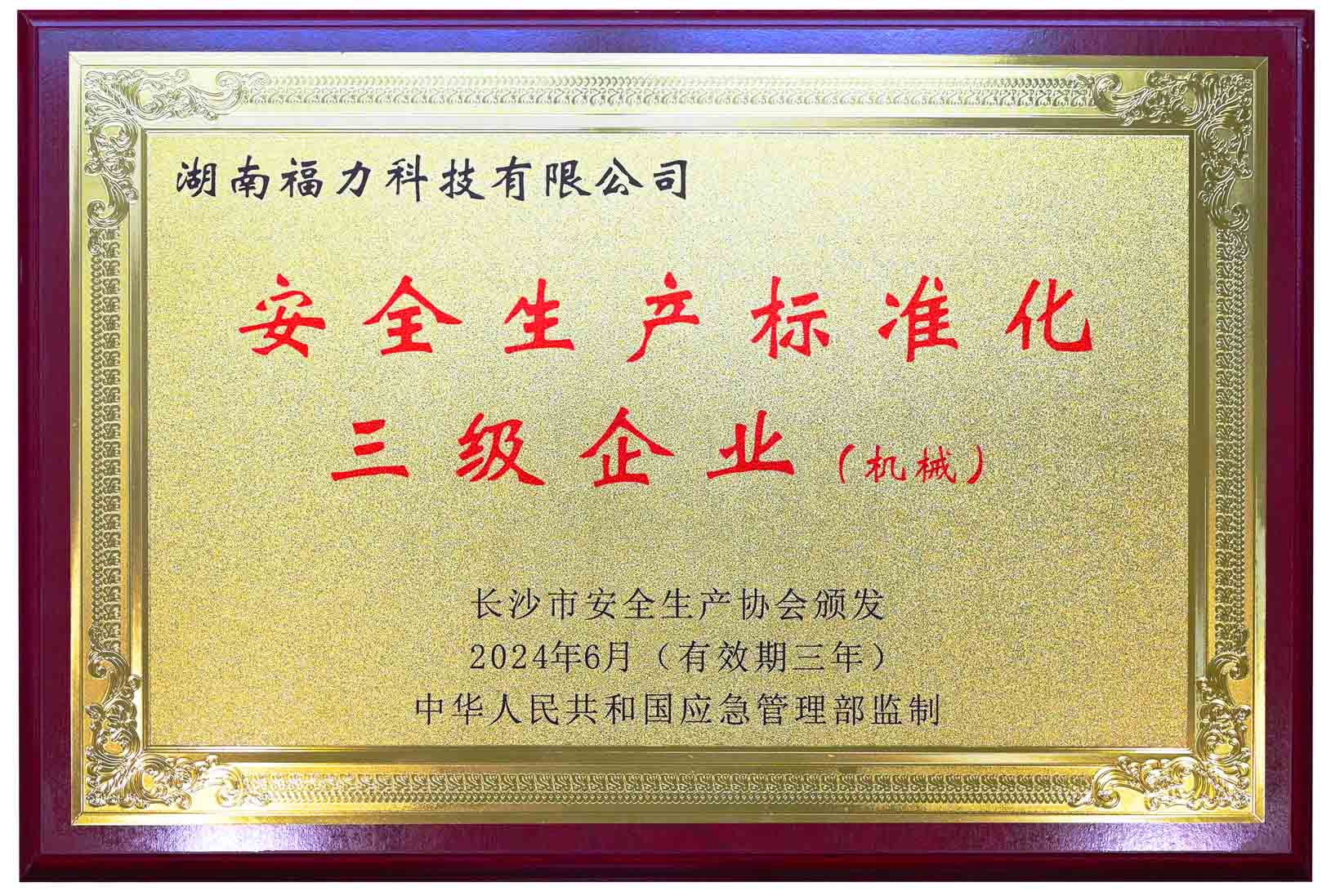 安全生產(chǎn)標(biāo)準(zhǔn)化三級企業(yè)（機械）